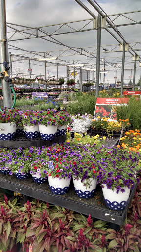 Department Store «Walmart Supercenter», reviews and photos, 60 W Bromley Ln, Brighton, CO 80601, USA