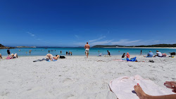 Gull Rock Beach'in fotoğrafı vahşi alan