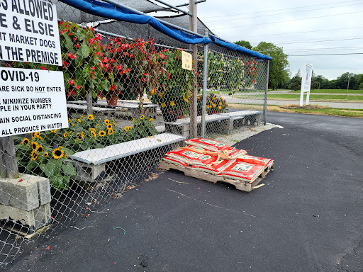 Market «South Main St Fruit Market», reviews and photos, 5012 Main St, Anderson, IN 46013, USA