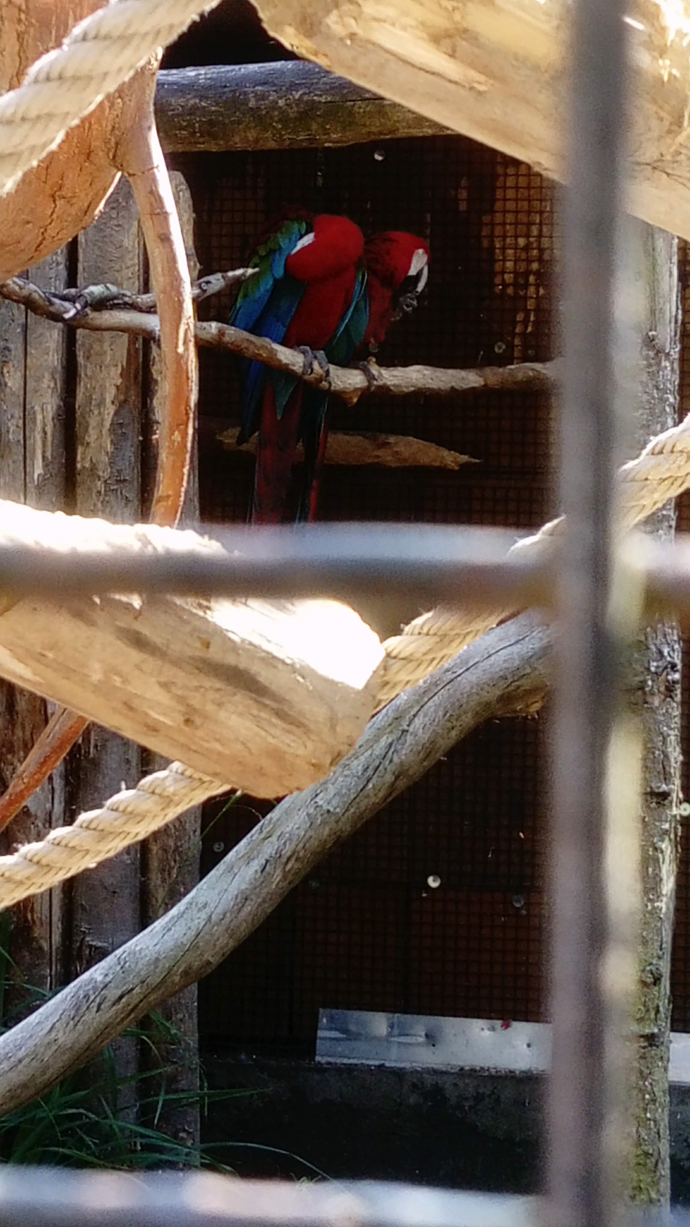 Photo n° 7 de l'avis de Alison.e fait le 07/08/2020 à 12:23