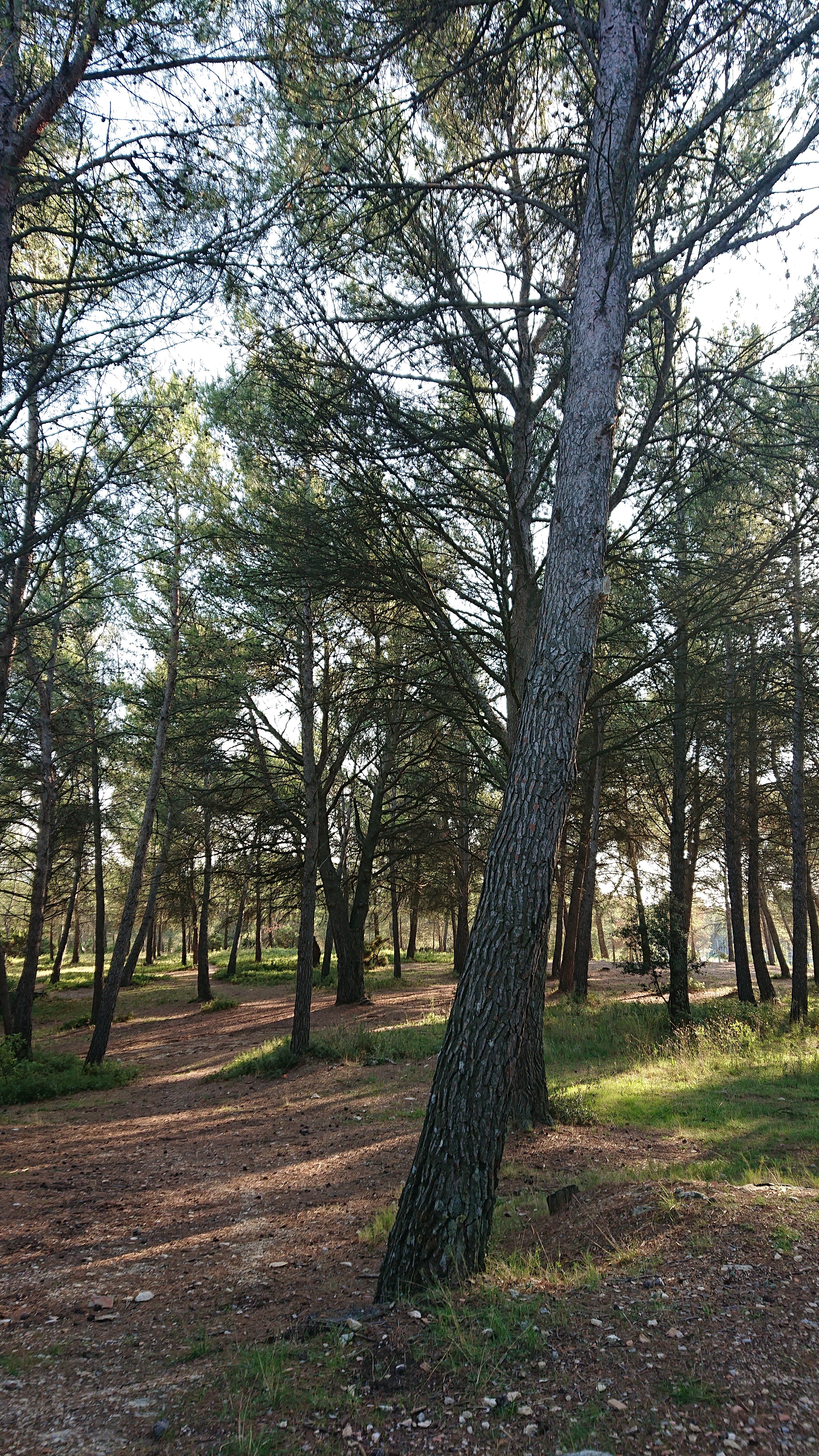 Photo n° 14 de l'avis de Pascal.S fait le 01/10/2019 à 15:21