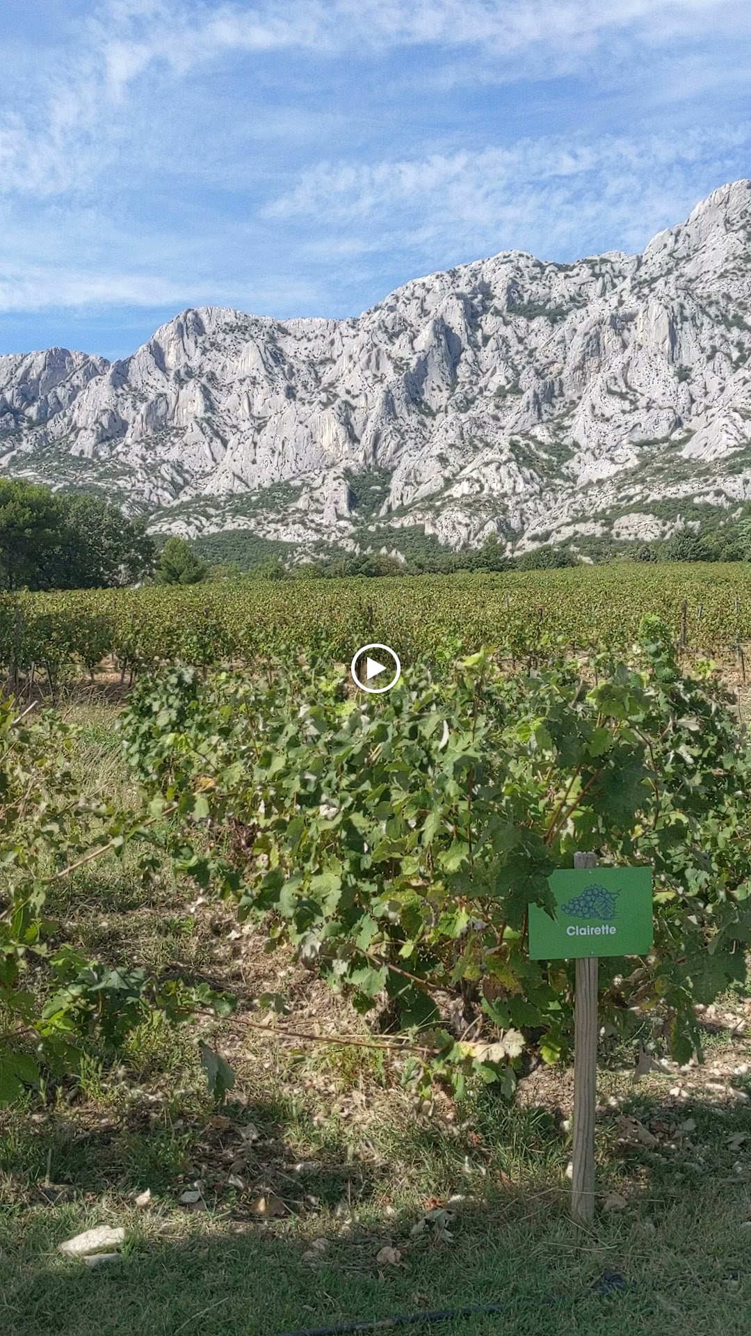Photo n° 13 de l'avis de June.r fait le 28/09/2021 à 16:56