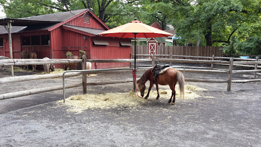 Zoo «McNeil Avian Center», reviews and photos, 3400 W Girard Ave, Philadelphia, PA 19104, USA