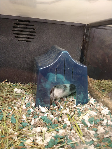 Pet Supply Store «PetSmart», reviews and photos, 745 W Huntington Dr, Monrovia, CA 91016, USA