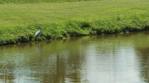 Golf Course «Flatbush Golf Course», reviews and photos, 940 Littlestown Rd, Littlestown, PA 17340, USA