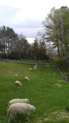 Dollar Store «FAMILY DOLLAR», reviews and photos, 85 Bridge St, Naugatuck, CT 06770, USA