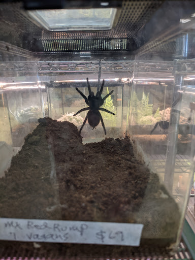Pet Store «Zookeeper Exotics», reviews and photos, 9012 Research Blvd, Austin, TX 78758, USA