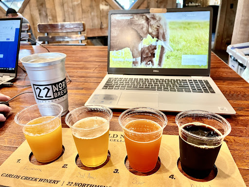 Winery «Carlos Creek Winery», reviews and photos, 6693 County Rd 34 NW, Alexandria, MN 56308, USA