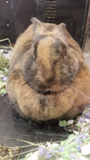 Pet Supply Store «PetSmart», reviews and photos, 7340 W 191st St, Tinley Park, IL 60487, USA