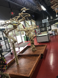 Just4Birds - Photo 6 - Car repair in Valrico, FL, Tampa