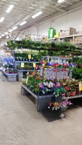 Home Improvement Store «The Home Depot», reviews and photos, 41 Nashua Rd, Londonderry, NH 03053, USA