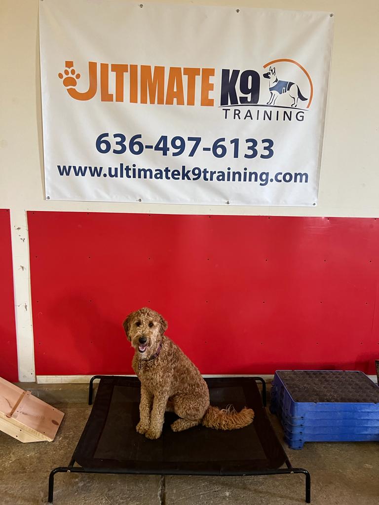 Ultimate K9 Dog Training St. Louis