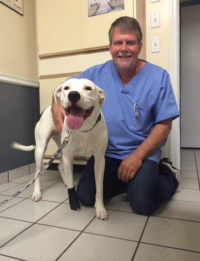 A Pet's Place of Clearwater image