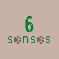 6 Senses - Photo 2 - Car repair in , Boston