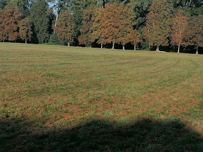 Office National des Forêts à Villers-Cotterêts