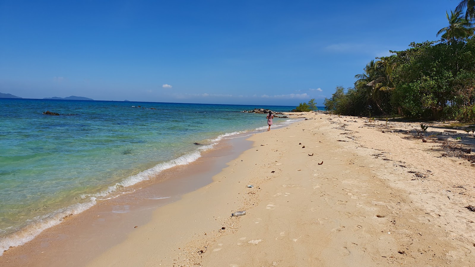 Photo de Turtle Beach zone sauvage