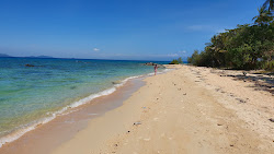 Photo de Turtle Beach zone sauvage