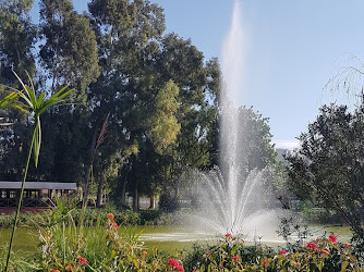 Akdeniz Üniversitesi Sağlık Hizmetleri Meslek Yüksekokulu