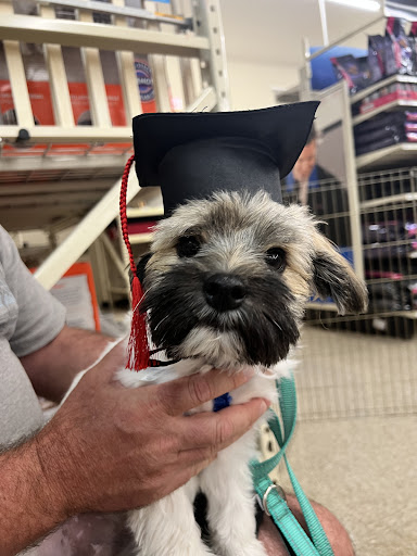 Pet Supply Store «PetSmart», reviews and photos, 7029 SW Nyberg St, Tualatin, OR 97062, USA