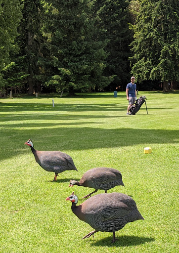 Golf Club «Meadowmeer Golf & Country Club», reviews and photos, 8530 Renny Ln NE, Bainbridge Island, WA 98110, USA