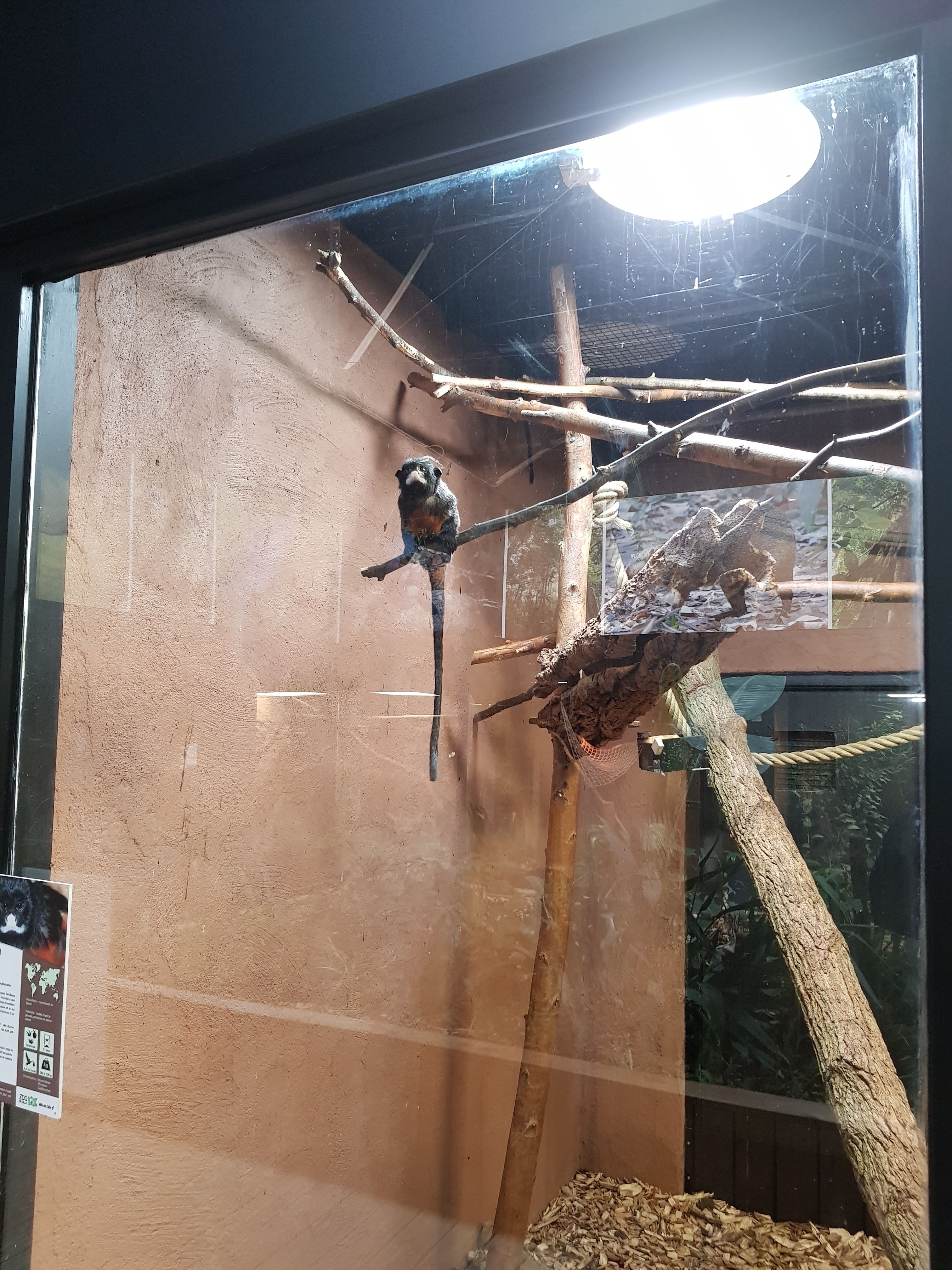 Photo n° 18 de l'avis de Charbel.l fait le 17/03/2019 à 23:45