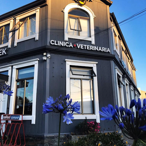 Opiniones de Clinica Veterinaria Boroschek en Valdivia - Veterinario