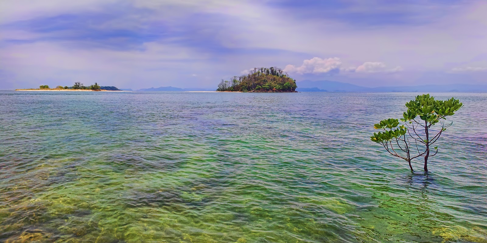 Photo de KO KOI NUI zone sauvage