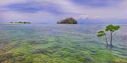 Photo de KO KOI NUI zone sauvage