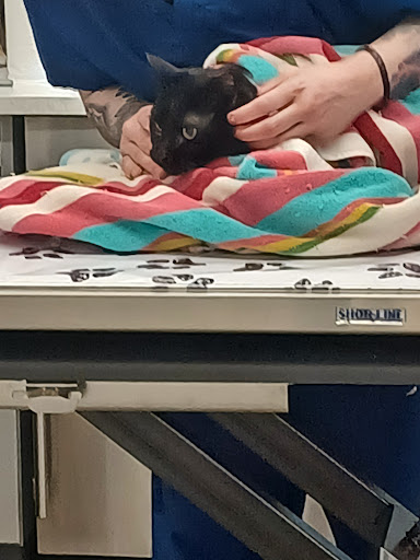 Pet Supply Store «Pet Supplies Plus», reviews and photos, 7570 Pearl Rd, Middleburg Heights, OH 44130, USA