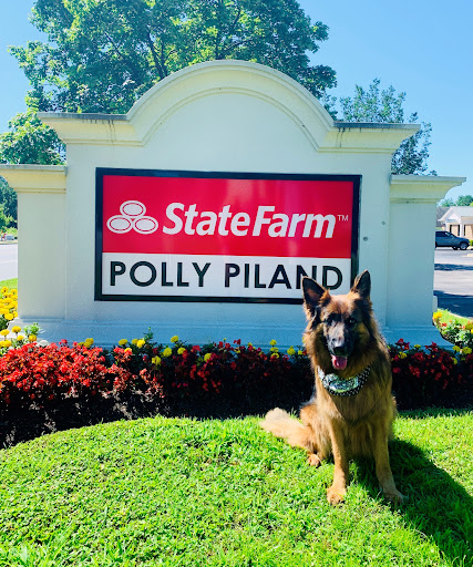 Insurance Agency «Polly Piland - State Farm Insurance Agent», reviews and photos