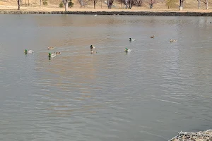 Urban Forest Lakes Park image