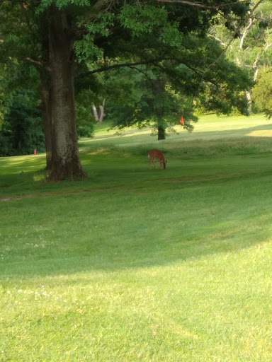 Golf Course «Christopher Morley Park Golf», reviews and photos, 500 Searingtown Rd, Roslyn, NY 11576, USA