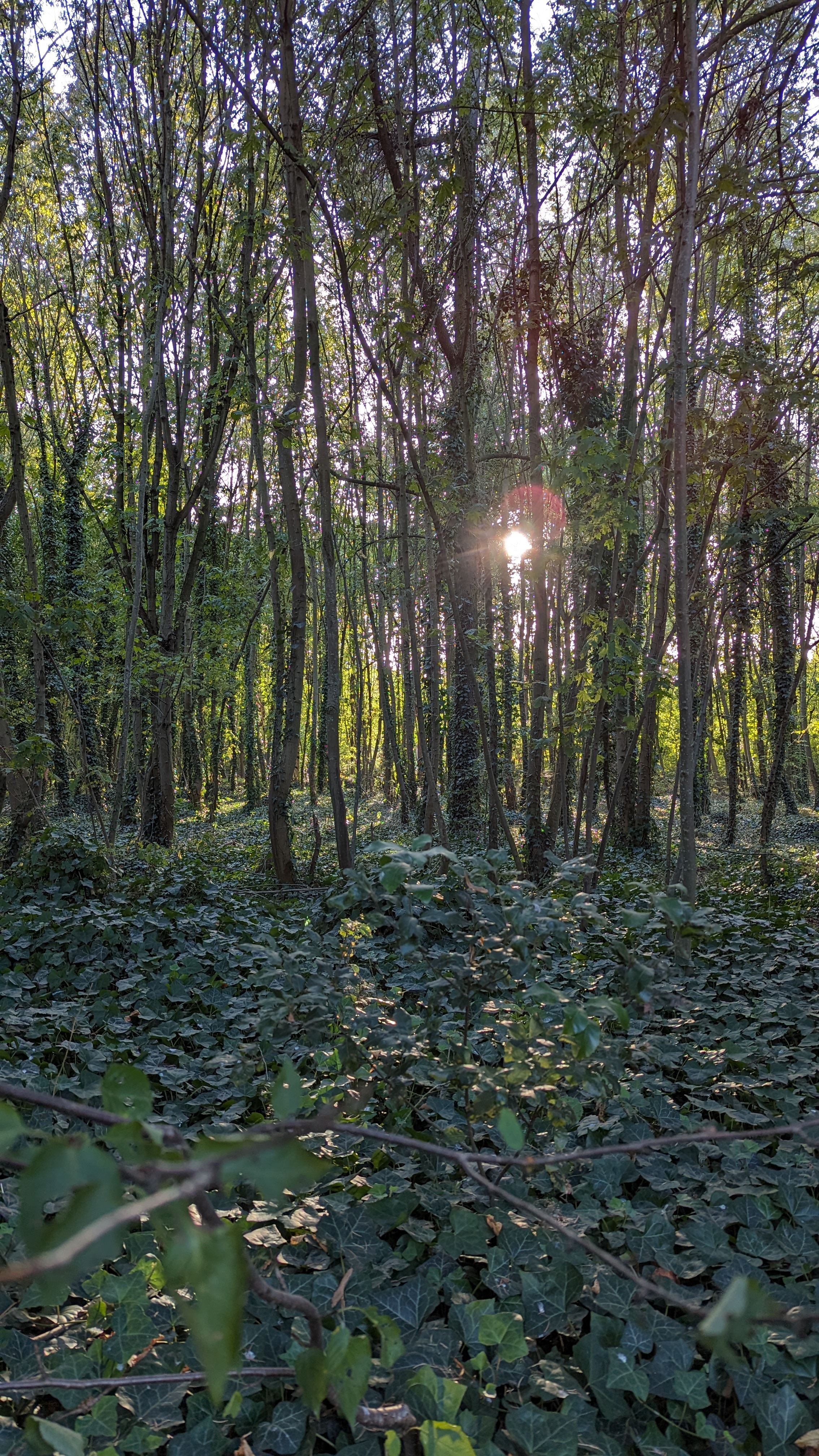 Photo n° 11 de l'avis de Alessandro.t fait le 09/03/2024 à 01:48