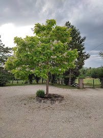 Photos du propriétaire du Restaurant L'Etable à Azannes-et-Soumazannes - n°10