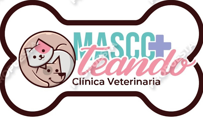Clínica veterinaria MASCOTEANDO