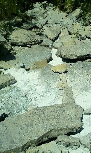 Tourist Attraction «Caesar Creek Visitor Center», reviews and photos, 4020 N Clarksville Rd, Waynesville, OH 45068, USA