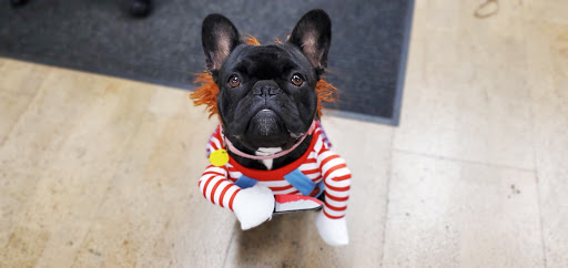 Mortgage Lender «West Coast Mortgage Group», reviews and photos