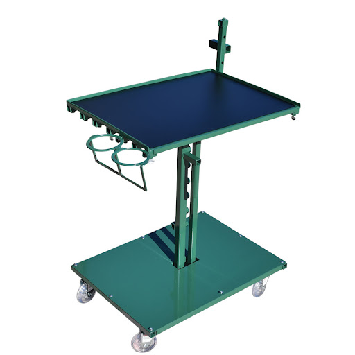 Find fish tattoo ideas for guys for your next unique tattoo in Reno at Stingray Tattoo supplies