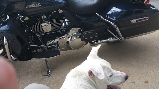 Harley-Davidson Dealer «Rommel Harley-Davidson® Plains Township», reviews and photos, 1022 PA-315, Wilkes-Barre, PA 18702, USA