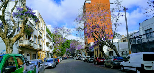Living in Montevideo