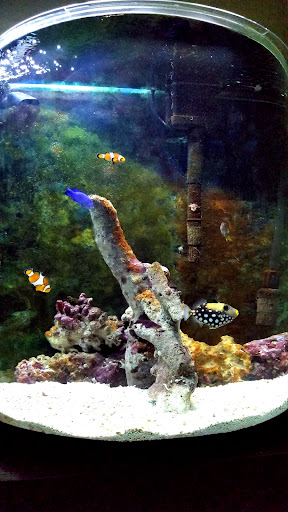 Pet Supply Store «Reef Plus», reviews and photos, 935 Oak St, North Aurora, IL 60542, USA