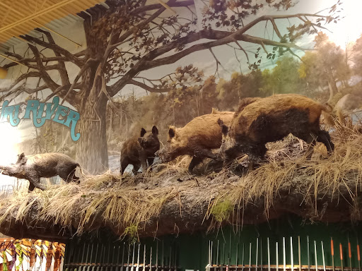 Sporting Goods Store «Bass Pro Shops», reviews and photos, 1000 Bass Pro Dr NW, Altoona, IA 50009, USA