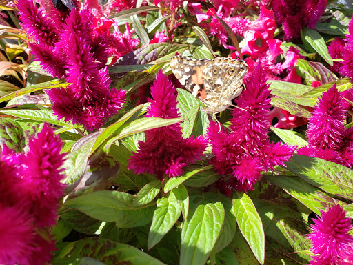 Home Improvement Store «The Home Depot», reviews and photos, 5900 Airport Hwy, Toledo, OH 43615, USA