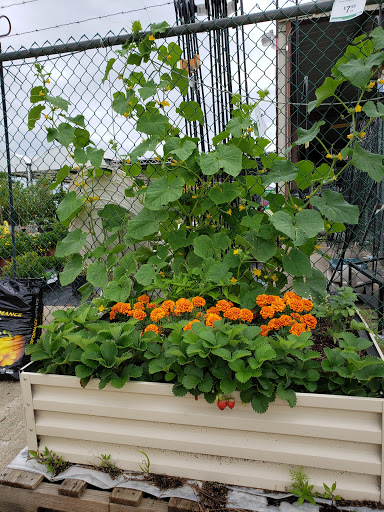 Appliance Store «Stine Lumber», reviews and photos, 1335 N Pine St, DeRidder, LA 70634, USA