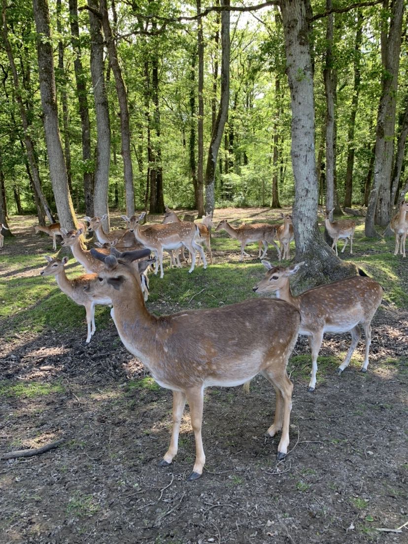 Photo n° 1 de l'avis de Charlène.s fait le 25/01/2024 à 20:18