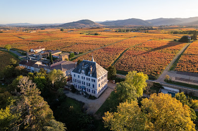 Chateau Grange Cochard à Villié-Morgon