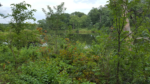 Nature Preserve «Lakewood Forest Preserve», reviews and photos, 27277 N Forest Preserve Rd, Wauconda, IL 60084, USA