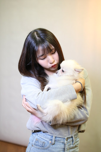 Furniture Store «Urban Home», reviews and photos, 400 S Baldwin Ave, Arcadia, CA 91007, USA