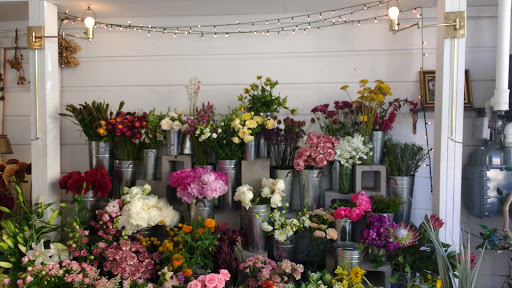 Florist «Ampersand», reviews and photos, 80 Albion St, San Francisco, CA 94103, USA