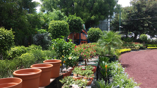 Gardening center Managua